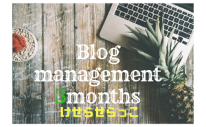 Blog management 3カ月