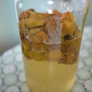 梅ジュース完成